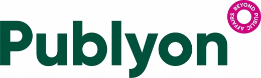 Consultant public affairs
