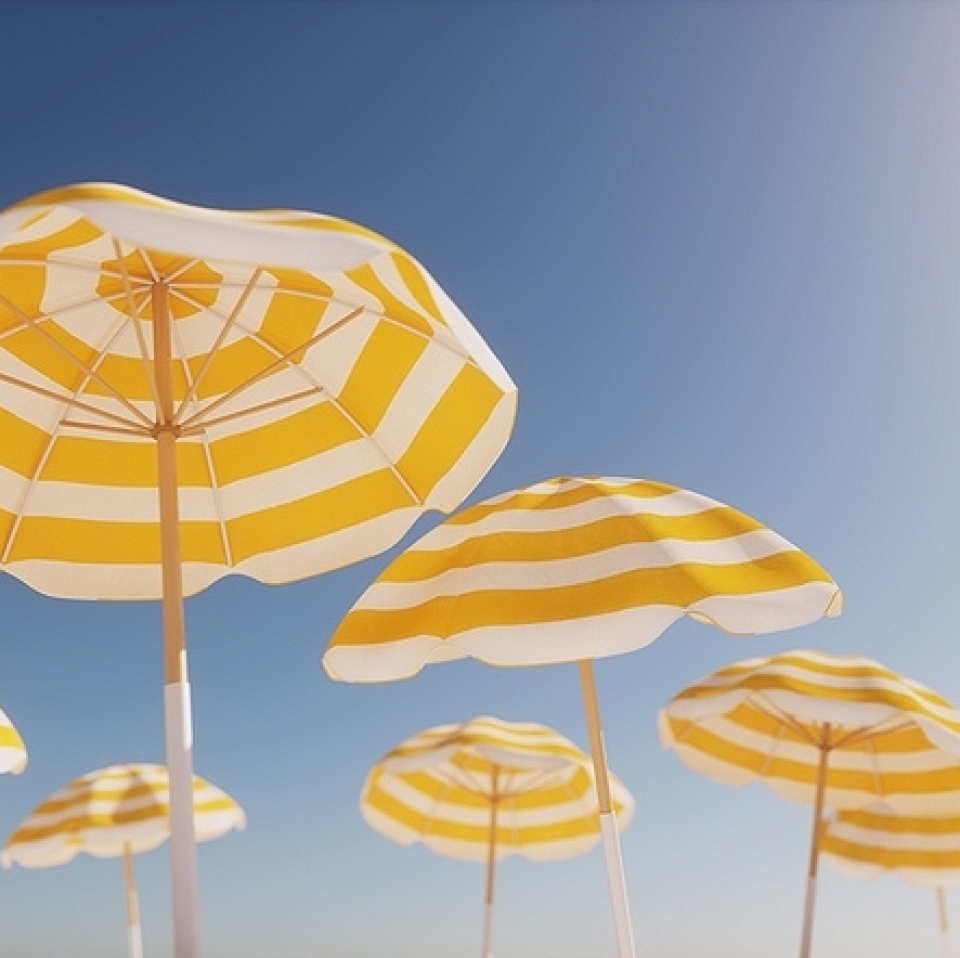 Zomergroet voorzitter Esmeralda Huizen: Zomer in de (boven)Kamer! 